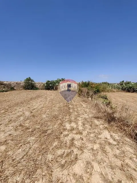Agriculture Land for sale in Zebbug