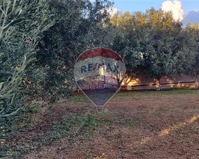 Agriculture Land for sale in Mgarr