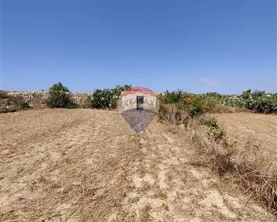 Agriculture Land for sale in Zebbug