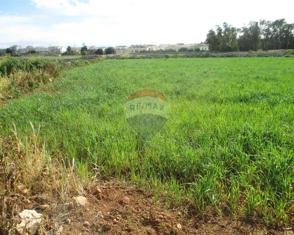 Land for sale in Zejtun