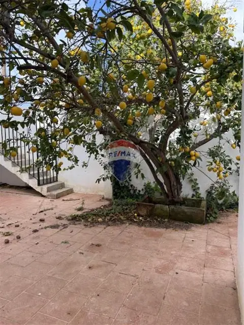 3 bedroom Villa Detached to rent in Attard