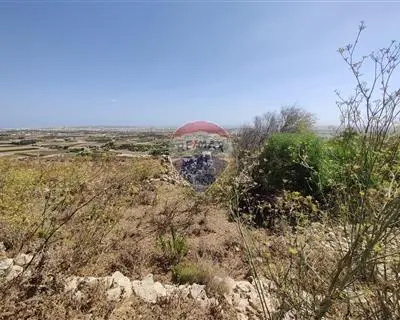 Agriculture Land for sale in Siggiewi