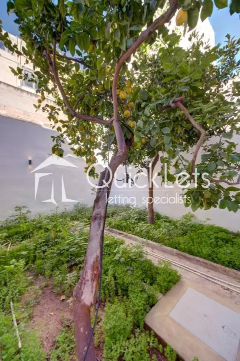 3 bedroom Townhouse to rent in Msida