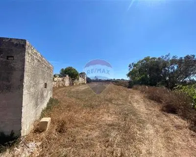 Agriculture Land for sale in Zejtun