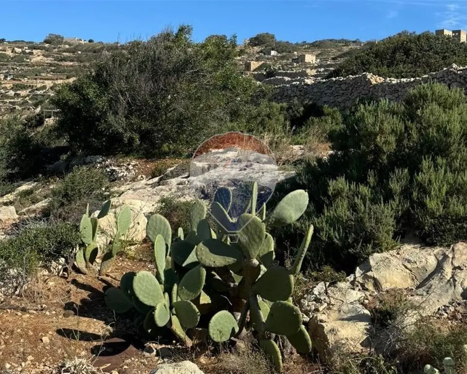 Agriculture Land for sale in Zurrieq