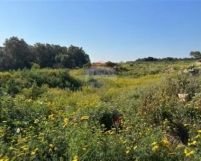 4 bedroom Farmhouse for sale in Birzebbuga