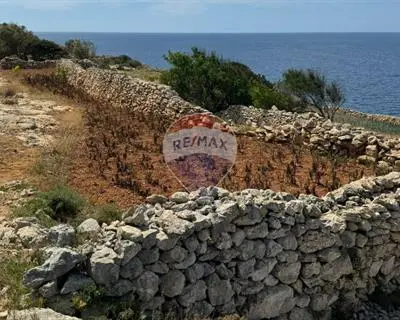 Agriculture Land for sale in Zurrieq