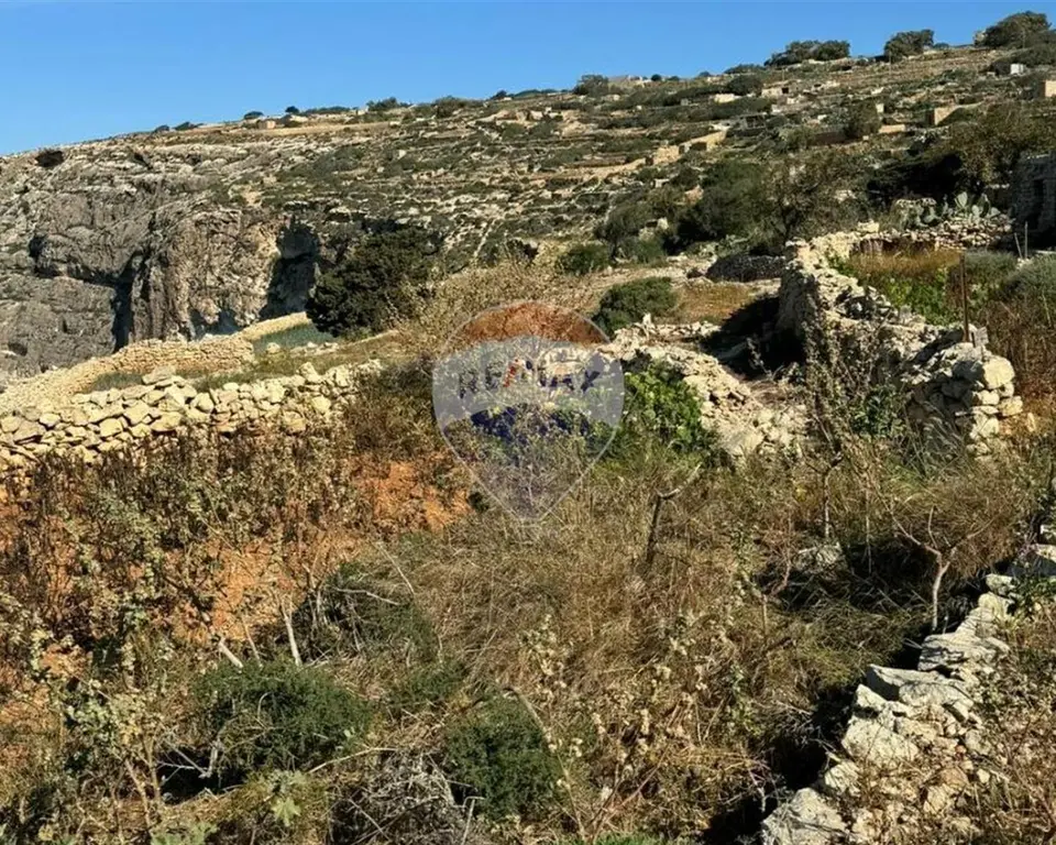 Agriculture Land for sale in Zurrieq