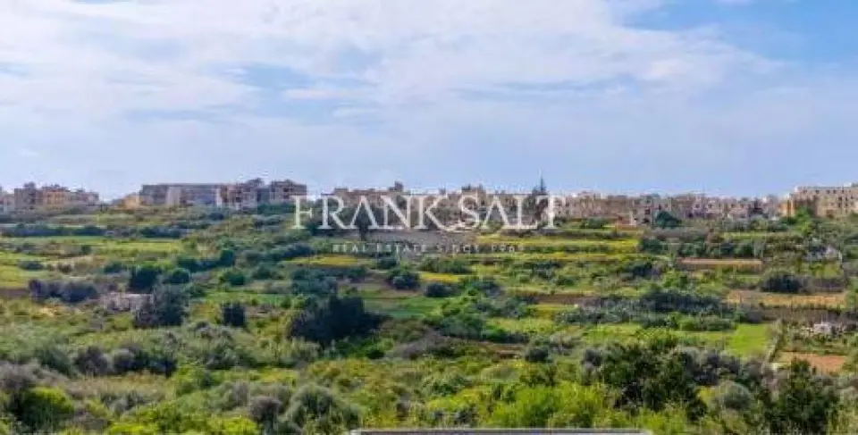 Nadur Shell form Penthouse