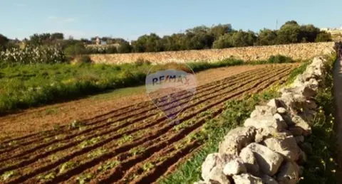 Land For Sale in Zebbug